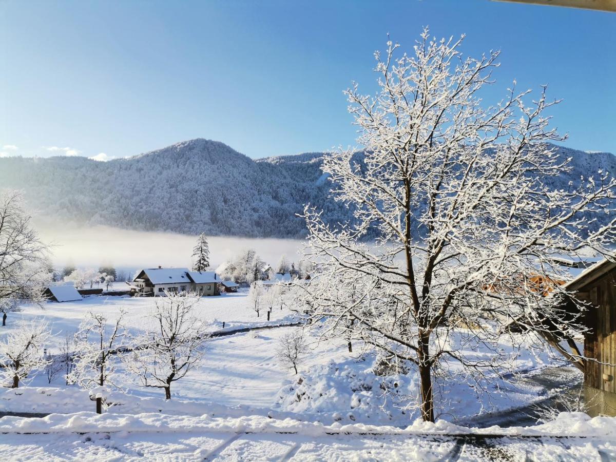 Вилла Tourist Farm Mulej Блед Экстерьер фото